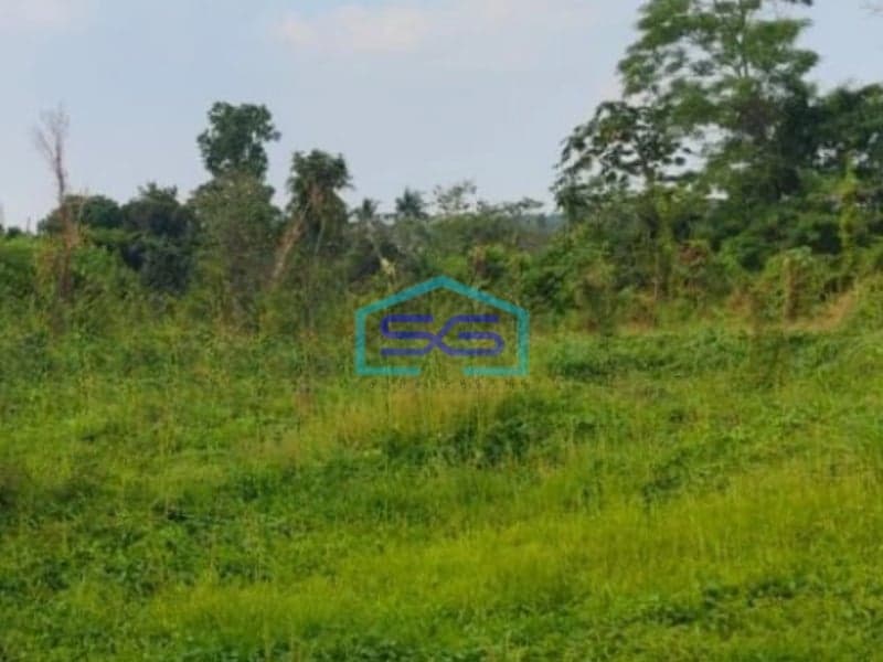 Dijual Tanah Lokasi Sangat Bagus Pinggir Jalan Utama Di Gunung Sindur Curug Bogor LT 8000m2