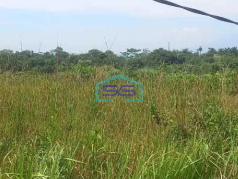 Dijual Tanah Di Sibanteng Leuwisadeng Bogor Luas Tanah 300000 m²