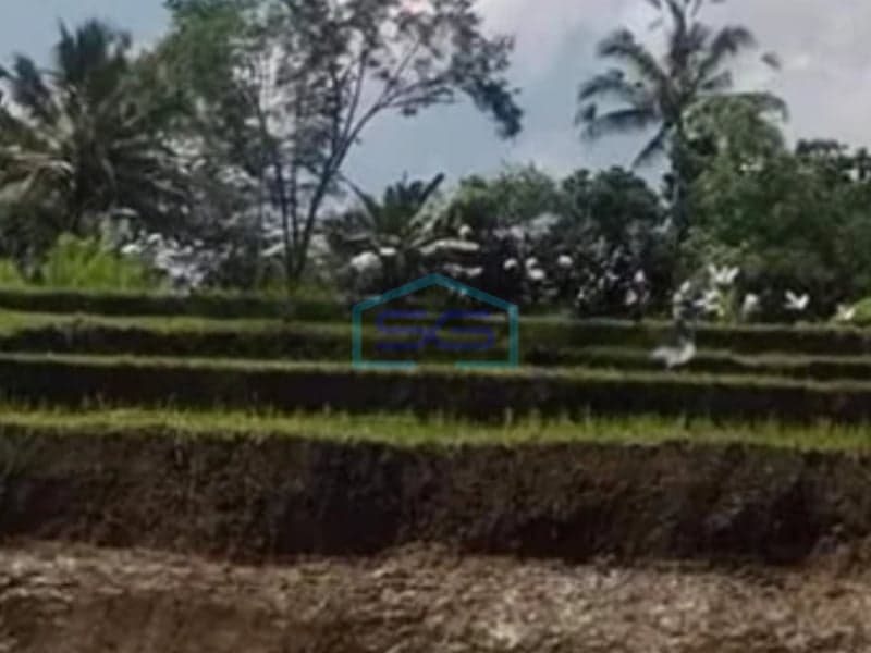 Dijual Tanah Luas Super murah di Ubud Gianyar Bali LT 1000m2