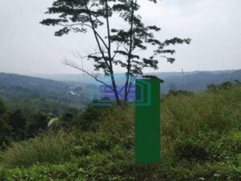 Dijual Kavling Luas Di Jonggol Bogor Jawa Barat