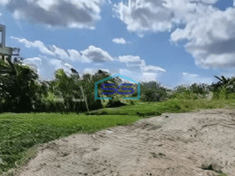 Dijual Tanah di Canggu Bali