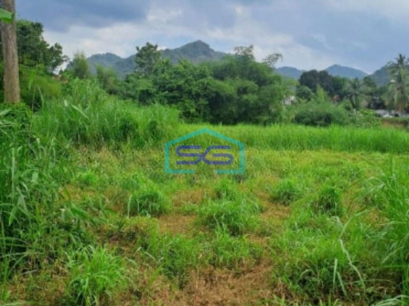 Dijual Tanah Di Cibodas Rumpin Bogor Jawa Barat LT 12000m2