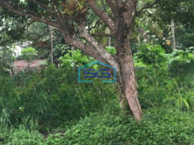 Dijual Tanah Luas 2068 m² Lokasi Salatiga Jawa Tengah