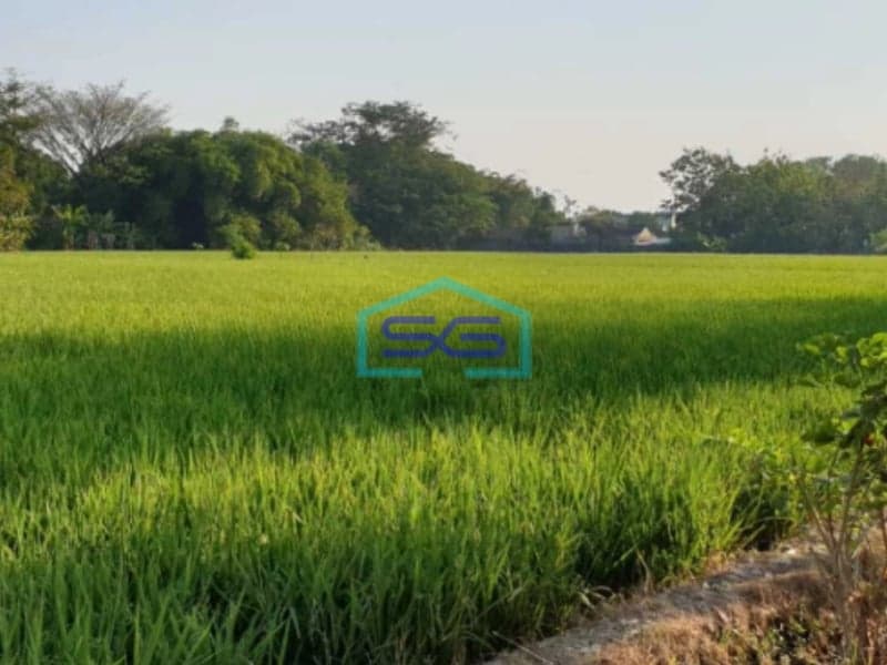 Dijual Tanah Kering Siap Bangun di Jalan Raya Solo Tawangmangu Karanganyar Solo LT 20776m2