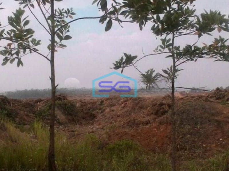 Dijual Tanah Lokasi Tanah di Tigaraksa Cileles Tangerang Luas 11 Hektar