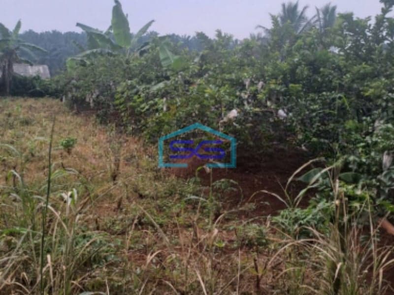 Dijual Tanah Bojong Kopasus Kemang Bogor Luas Tanah 3000m2