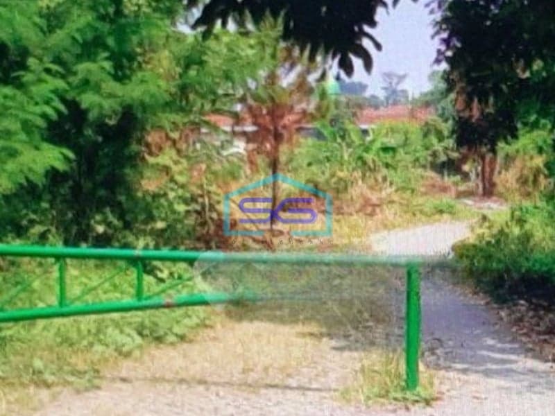 Dijual Tanah Murah di Bogor Lokasi Strategis Akses Mudah