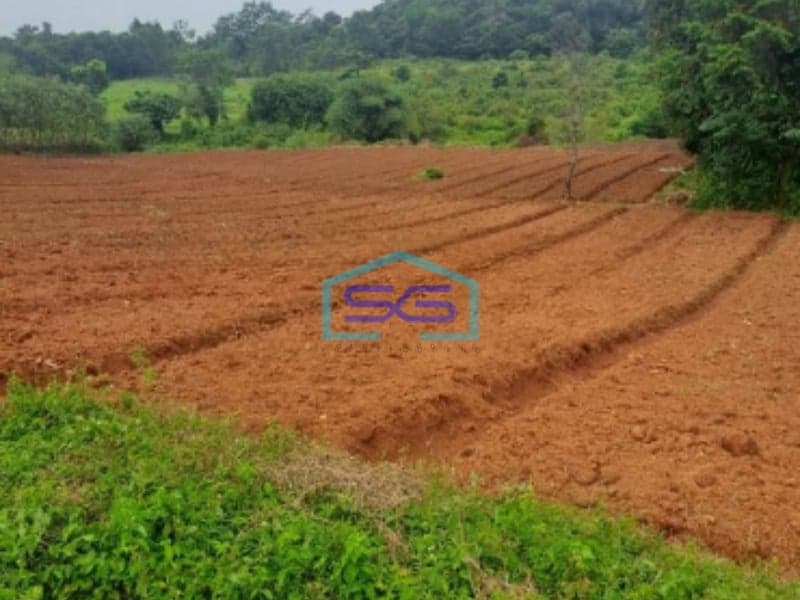 Dijual Tanah Di Sukaresmi Sukamakmur Bogor Luas Tanah 8000m2