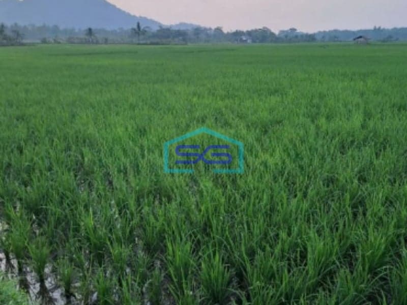 Dijual Tanah Lokasi Strategis Di Rumpin Bogor Luas Tanah 1000m2