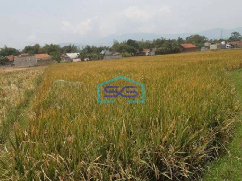 Dijual Cepat Tanah di Ciparay Bandung LT 4079m2