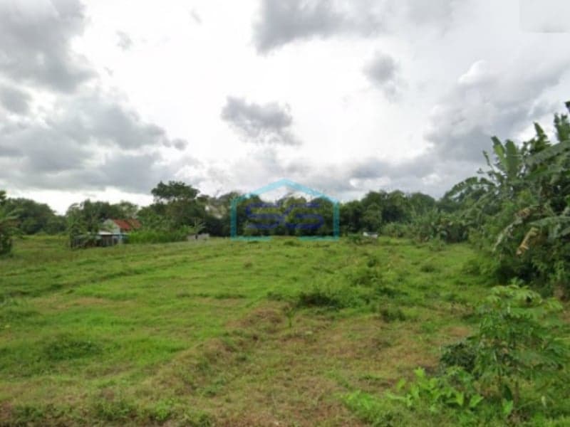 Dijual Tanah Luas di Mlati, Sleman Yogyakarta LT 1287m2