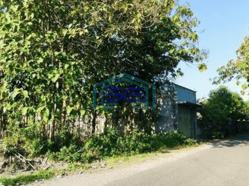 Dijual Tanah pekarangan strategis bonus 50 pohon jati di tasikmadu karanganyar