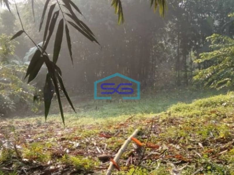 Dijual Tanah Di Mekarsari Rumpin Bogor Dengan Luas Tanah 2082m2