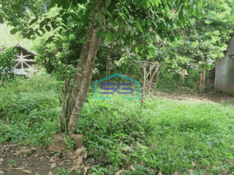 Dijual Cepat Tanah Lokasi di Cikupa Tangerang Cocok Untuk Home Industri