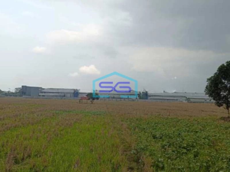 Dijual Tanah Siap Bangun Di Sumber Jaya Majalengka Jawa Barat Luas Tanah 30000m2