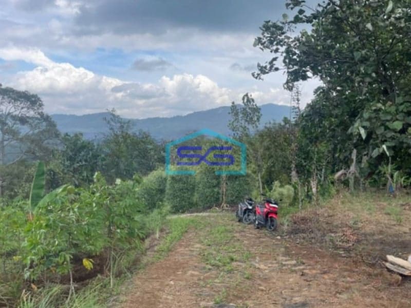 Dijual Tanah Desa Cibadak Sukamakmur Jongol Bogor SHM Luas 3500m2