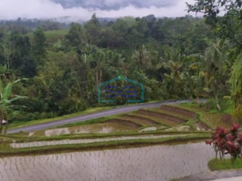 Dijual Tanah Super Cantik Luas Tanah 10000m2 di Jalan Utama Jatiluwih Tabanan Bali