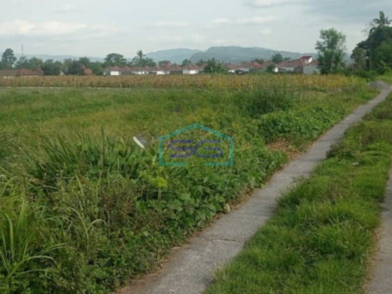 Dijual Tanah Luas 4800m2, Pondok, Selomartani, Kalasan, Sleman Yogyakarta