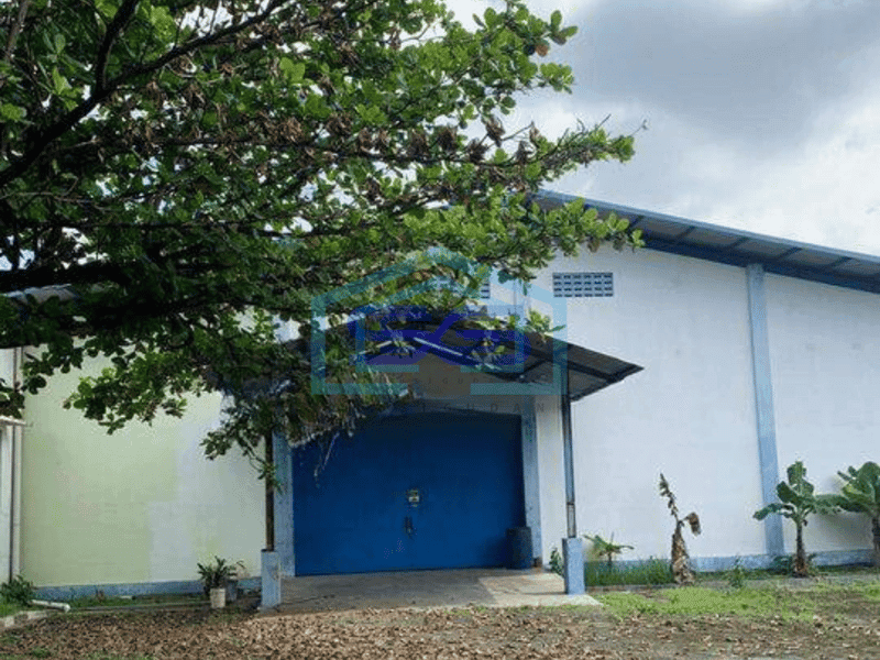 Disewakan Gudang 1.2 Hektare Lokasi Kartasura Dekat Exit Tol