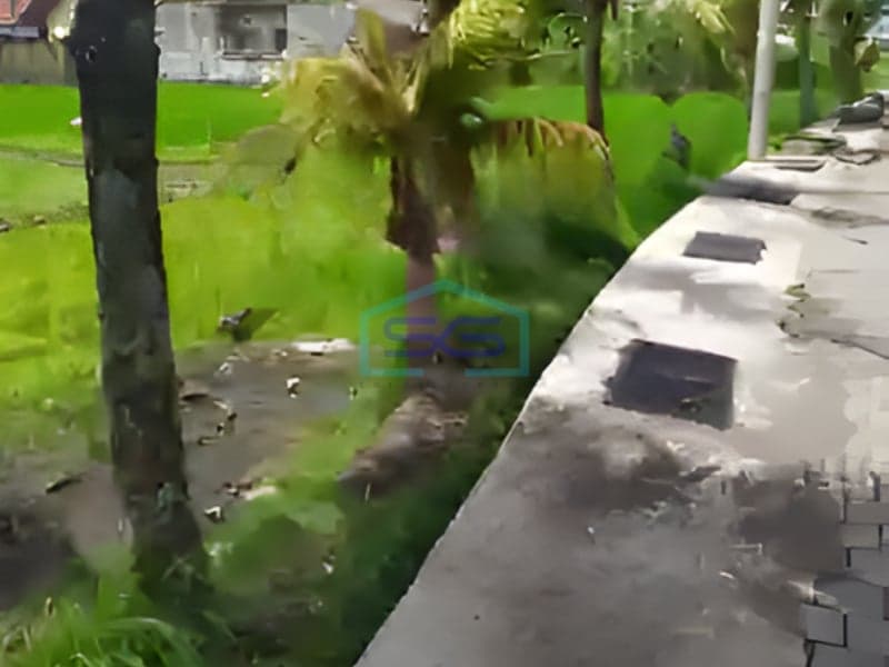 Disewakan Tanah View Keren di Central Ubud Gianyar Bali Luas Tanah 1200m2