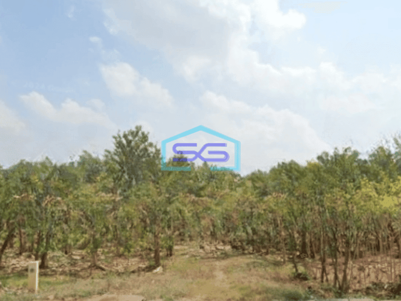 Dijual Tanah Luas 3785 m² Lokasi Gresik Jawa Timur