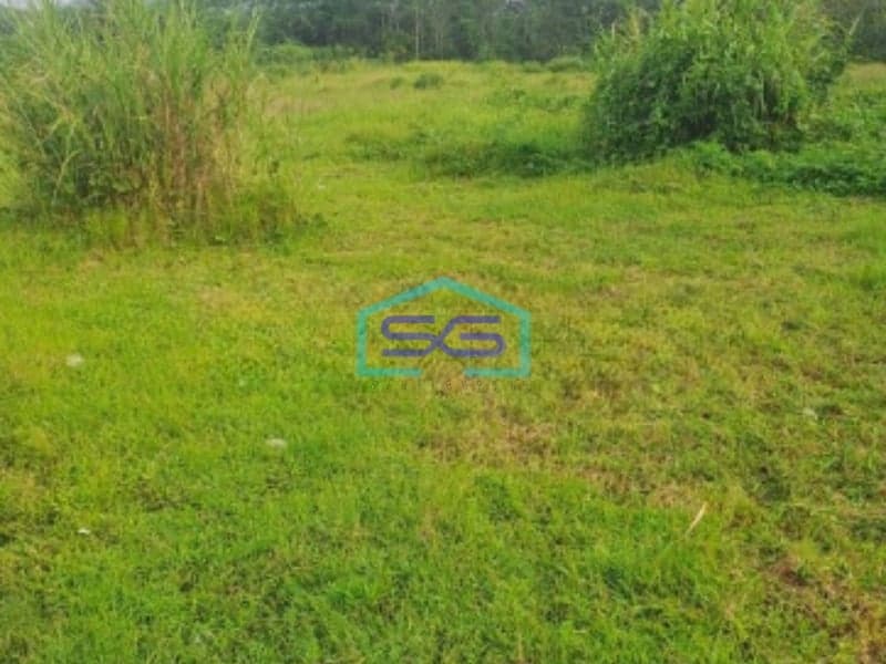 Dijual Tanah Jalan Raya Rumpin Bogor Luas Tanah 100000m2