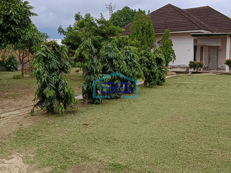 Dijual Cepat Tanah Luas Bonus Bangunan di Sukarami Palembang