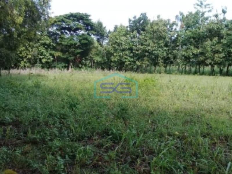 Ready to Use Land for Business for Sale in Mondokan Sragen Central Java 7403sqm