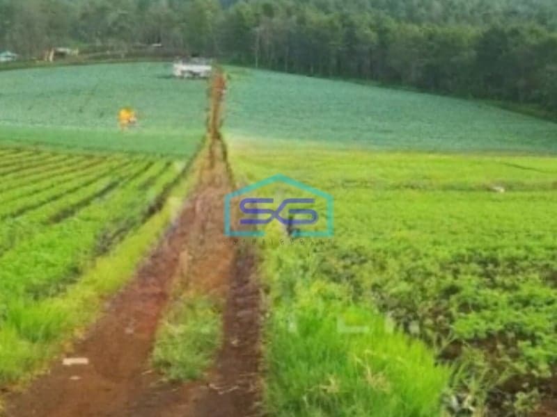 Dijual Tanah Strategis Luas 14,75 Ha di Bukit Jengkoang Bumiaji Batu Jawa Timur