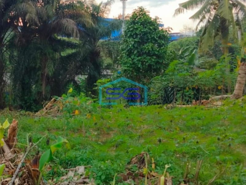 Dijual Tanah siap Bangun di Jalan Kantor Lurah Sukomoro Talang Kelapa Banyuasin Sumatera Selatan LT 2000m2