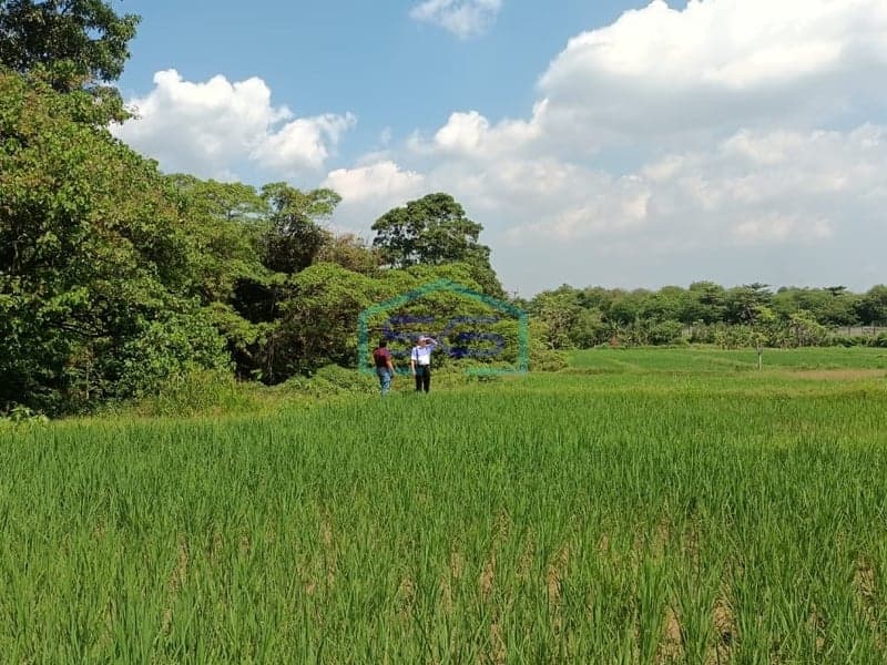 KAVLING DIJUAL DAERAH CIKANDE