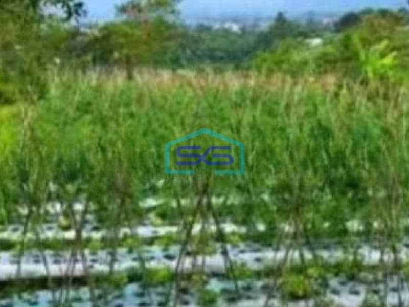 Dijual Tanah Strategis di Lembang Dekat Pusat Hiburan, Kab Bandung Barat Luas Tanah  11700 m²