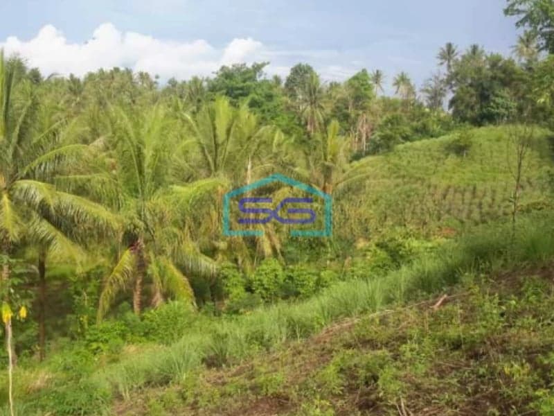 Dijual Tanah Di Likupang Cocok Buat Perkebunan Likupang Timur, Minahasa Utara Luas Tanah (PxL)  700000 m²