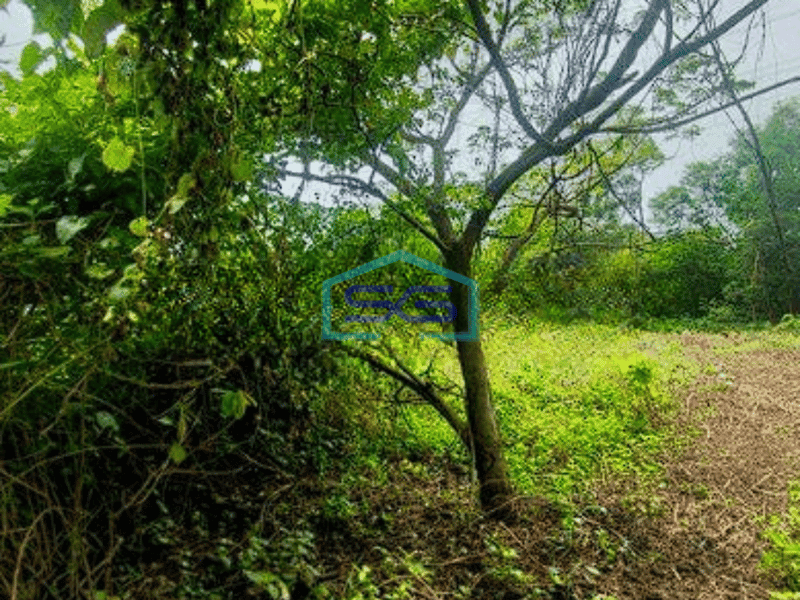 Dijual Tanah Kavling Dalam Kawasan Industri Lokasi di Cikarang Strategis