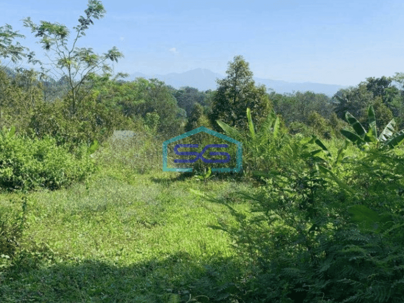 Dijual Tanah Di Cianjur Luas 27000m2