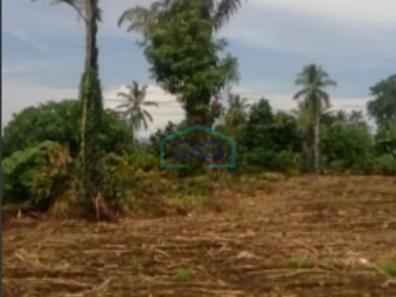 Dijual Tanah 3,4j Di Pinggir Jalan Raya Sawangan Manado DI Tombulu, Minahasa Luas Tanah (PxL)  34000 m²