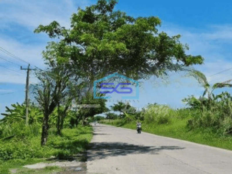Dijual Tanah di Onggorawe Sayung Demak Luas Tanah 3074m2