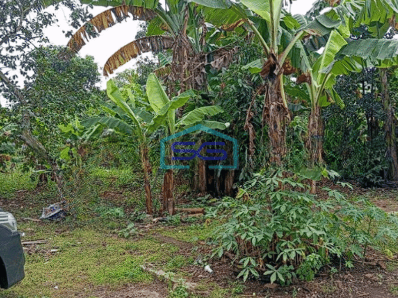 Dijual Tanah Kavling Murah Siap Bangun Di Pagedangan Tangerang Luas 3200m2