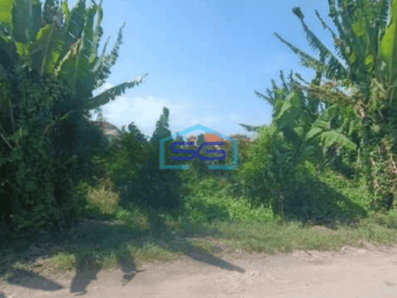 Disewakan Tanah Luas 3200 m² di Sanur Denpasar Bali