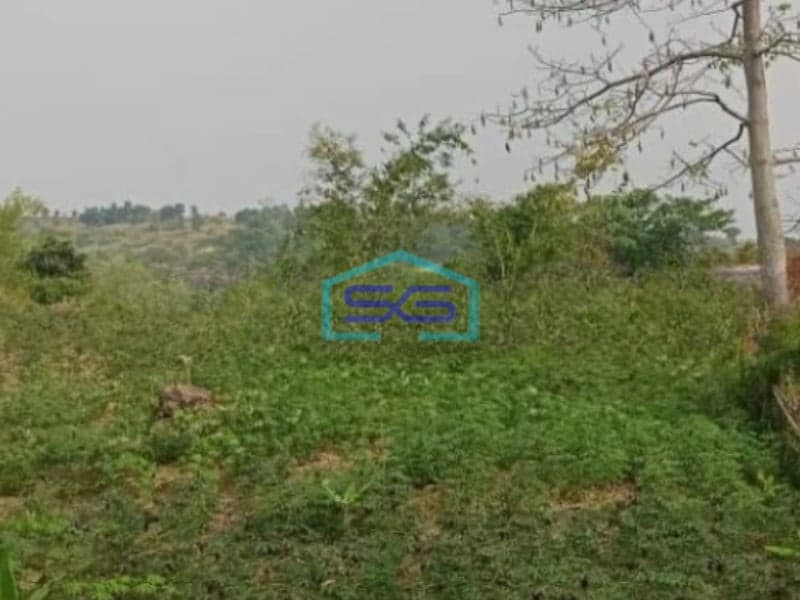 Dijual Tanah Lokasi Bagus Desa Pabuaran Sukamakmur Bogor Luas Tanah 20000m2