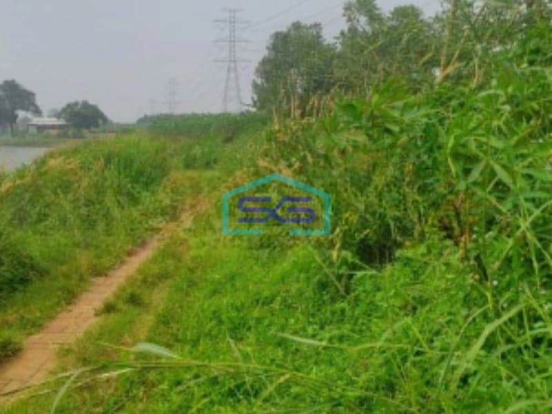 Dijual Tanah Di Ciseeng Bogor Luas Tanah 1200m2 SHM