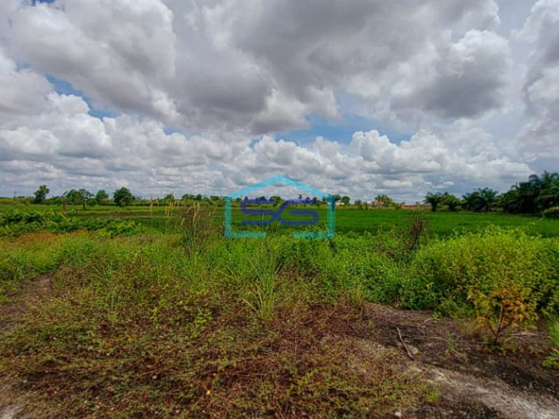 Dijual Tanah Luas 4 Hektar di Lokasi Strategis Karang Anyar, Jalan Tanjung Api Api KM 43 Banyuasin