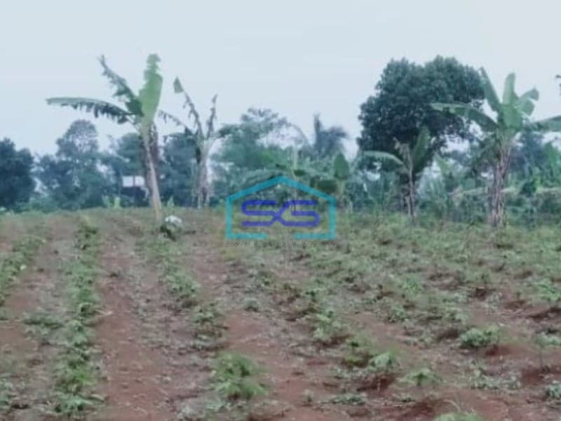 Dijual Tanah Desa Mangunjaya Ciambar Sukabumi Luas Tanah 300000m2