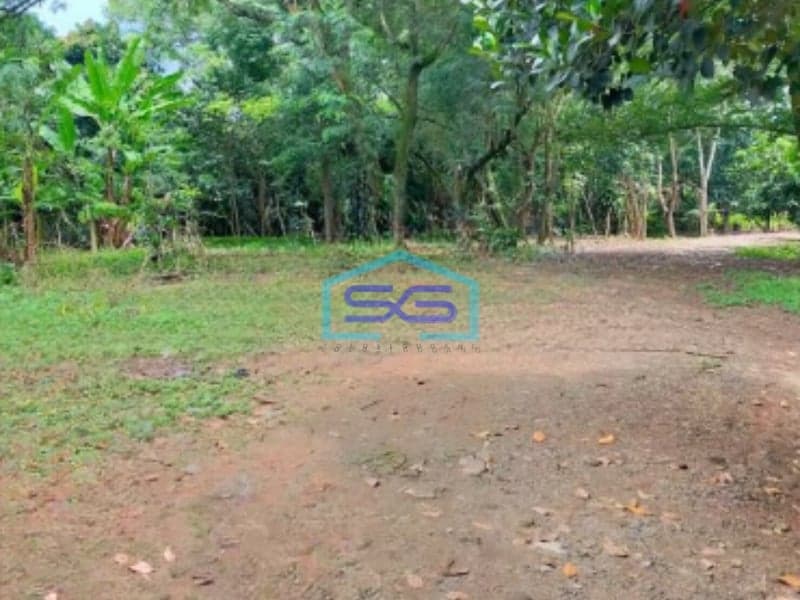 Dijual Lahan Tanah Murah Di Cangkudu Kecamatan Balaraja Tangerang LT 17000m2