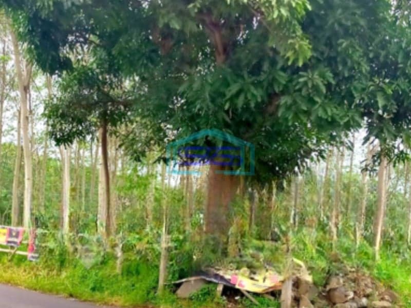 Dijual Tanah Luas 13347 m² Lokasi Bandulan Malang