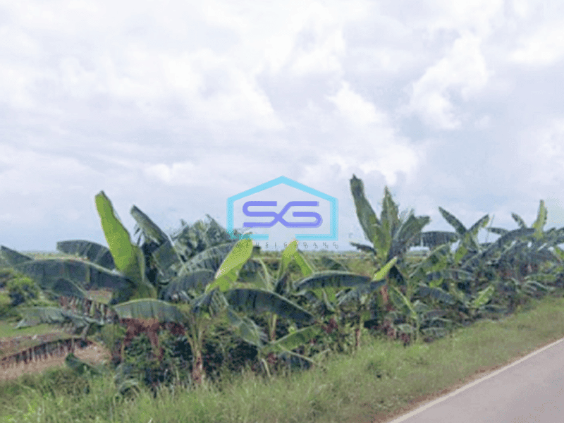 Dijual Kavling Tanah Industri Luas Tanah 20 Ha Sumatera Selatan