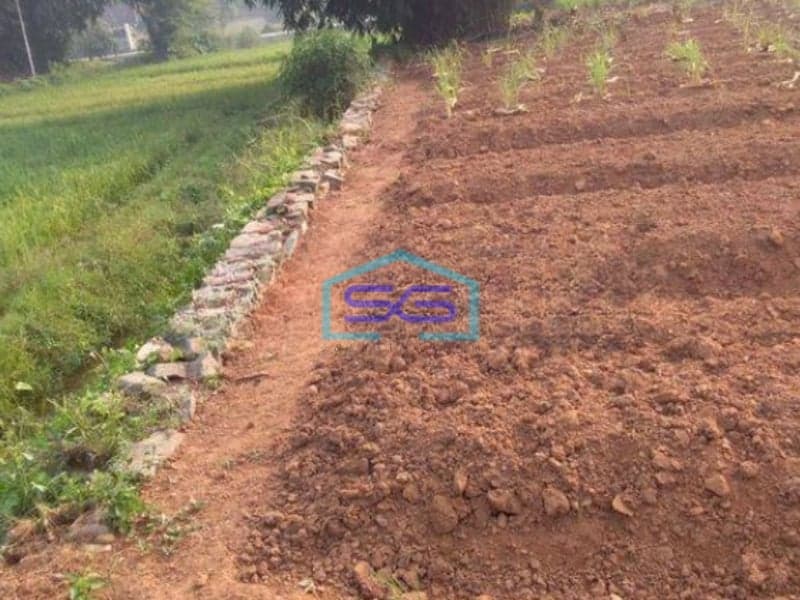 Dijual Tanah di Legok Tangerang di Pinggir Jalan