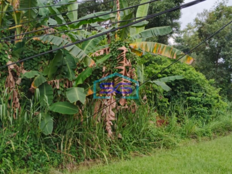 Dijual Tanah di Pinggir Jalan AMD Talang Jambe Palembang Sumatera Selatan LT 1552m2