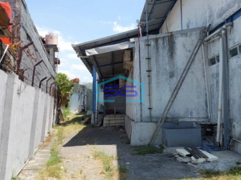 Disewakan Gudang Bagus Siap Pakai Di Majapahit Semarang Timur Luas Bangunan 3000m2