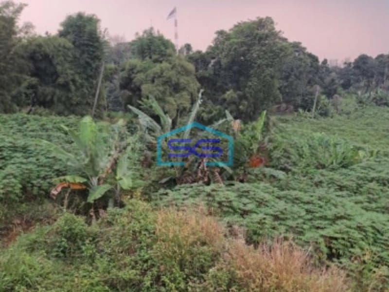 Dijual Tanah di Desa Hambalang Citeureup Bogor Luas Tanah 10500m2